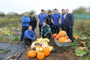 nylacast-harvest-winter-crops
